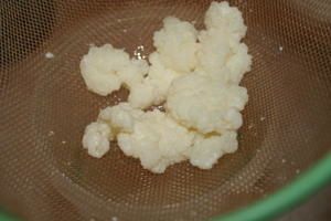 IMG_5898.JPG