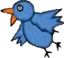 oiseau.jpg