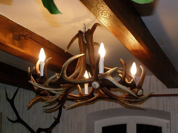 Lustre en mues de cerfs Lustre en mues de cerfs