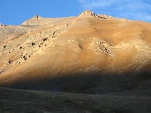 IMG_2929.JPG