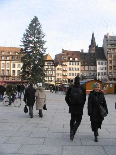 IMG-4371-sapin-place-Kl--ber--c.JPG