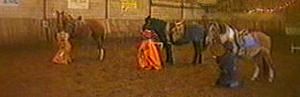20080131-100900.jpg
