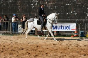 Copie-de-IMG_1195.JPG