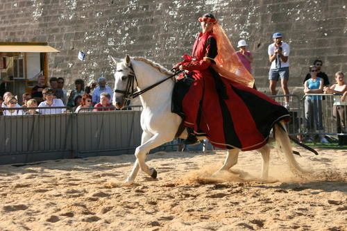 Copie-de-IMG_1290.JPG