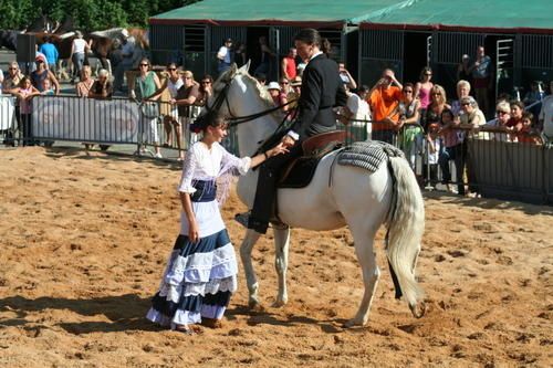 Copie-de-IMG_4090.JPG