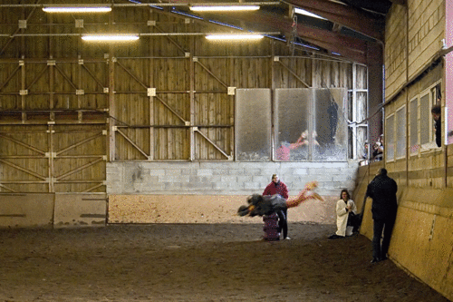 fete-cheval-2006-12-003-2.gif