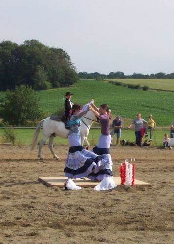 gala-cheval0073-copie-1.jpg
