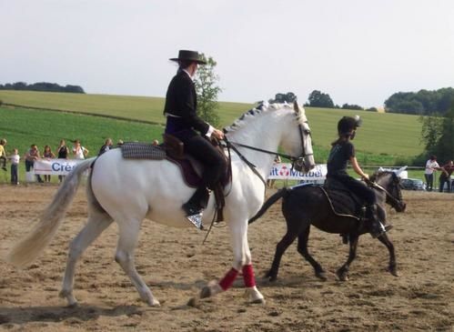 gala-cheval0090-copie-1.jpg