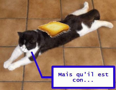 paflechat-jpg.gif