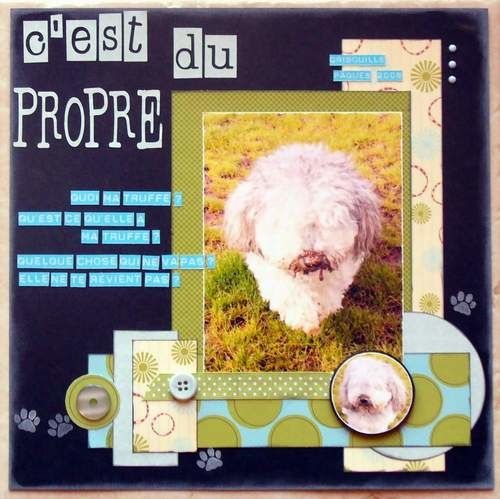 c-est-du-propre-002.jpg