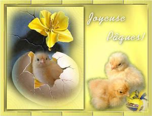 paques3_fr.jpg