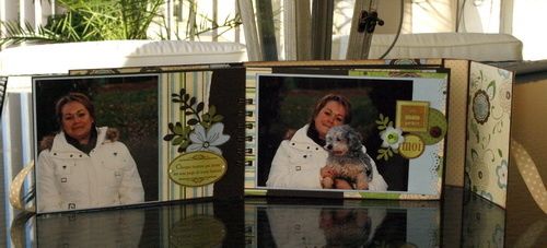 album boite 007