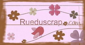 rueduscrap280150dk5-copie-1.jpg