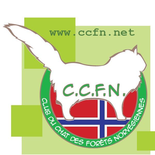 logo ccfn neuf