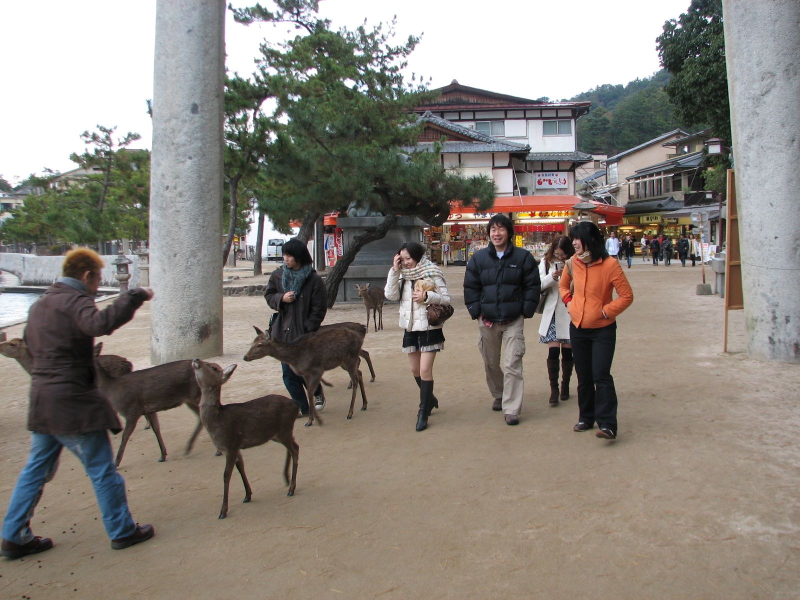 Miyajima_jmlebigre Miyajima_jmlebigre3
