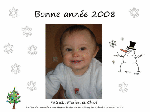 bonne-ann--e-2008-copie-2.gif