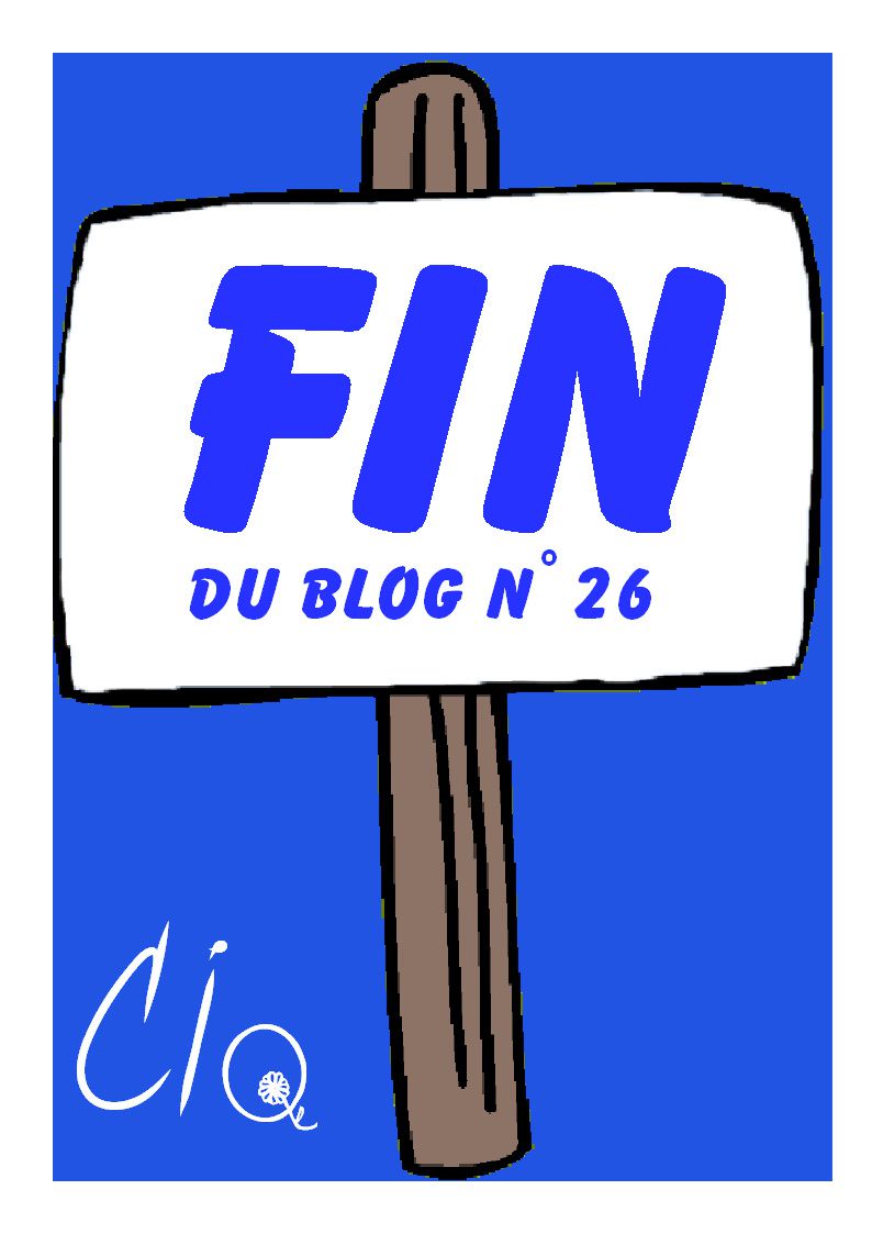 Blog 26 FIN