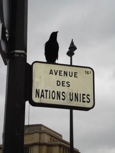 DSC01760.JPG