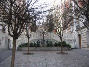 IMG_2923.jpg