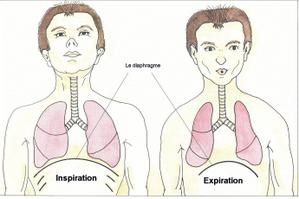 diaphragme.jpg