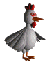 img-z8xms23xr06.gif