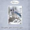template_photo_dechiree_by_digiscrap_ch.jpg