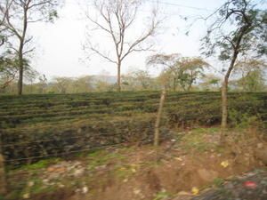 Photo-005.jpg