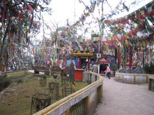 Photo-041-copie-1.jpg