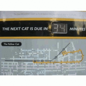 Info-buses.gif