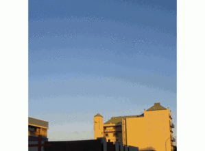 appart.gif