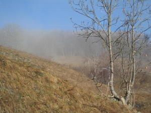 IMG_1081.JPG