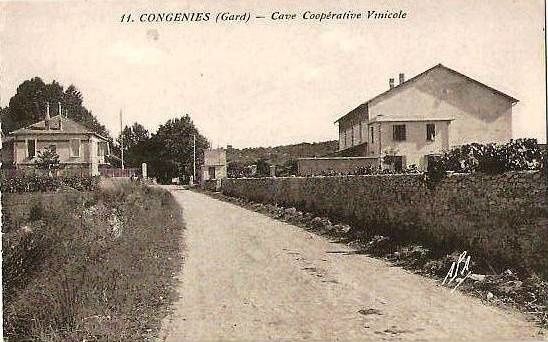 coope-Congenies-30-2.jpg