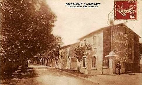 coope-Frontignan-0001.jpg