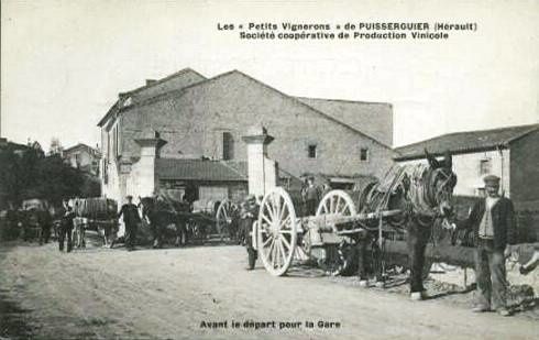 coope-Puisserguier-000.jpg