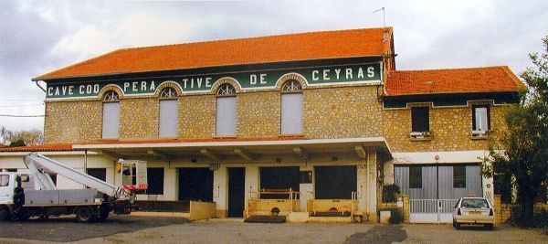 coope-Ceyras-agropolis-2.jpg