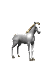 cheval 091