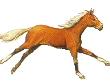 cheval 117