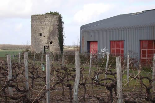 2010-03-02_vignerons_05.jpg