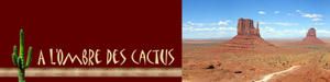 cactus.jpg