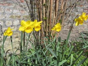 IMG_0367.JPG