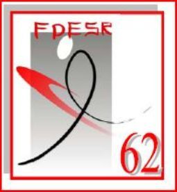 logo fdser2010