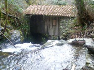 04.ruisseau du moulin