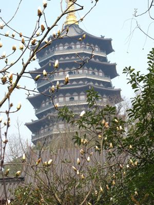 17.magnolia.jpg