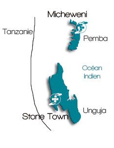 amd-blog cartes tanzanie zanzibar stone-tone