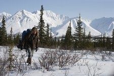 into-20wild-thumb-225x149.jpg