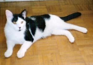 Num-riser0009-copie-1.jpg