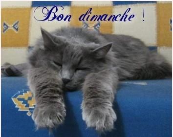 ChatChat.jpg