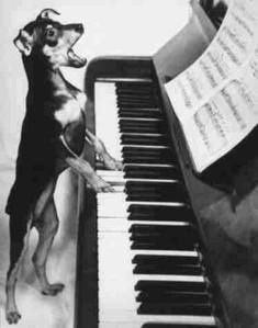 animaux-036.jpg