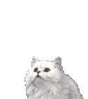 chat_046.gif