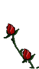 fleurs-20-63-.gif